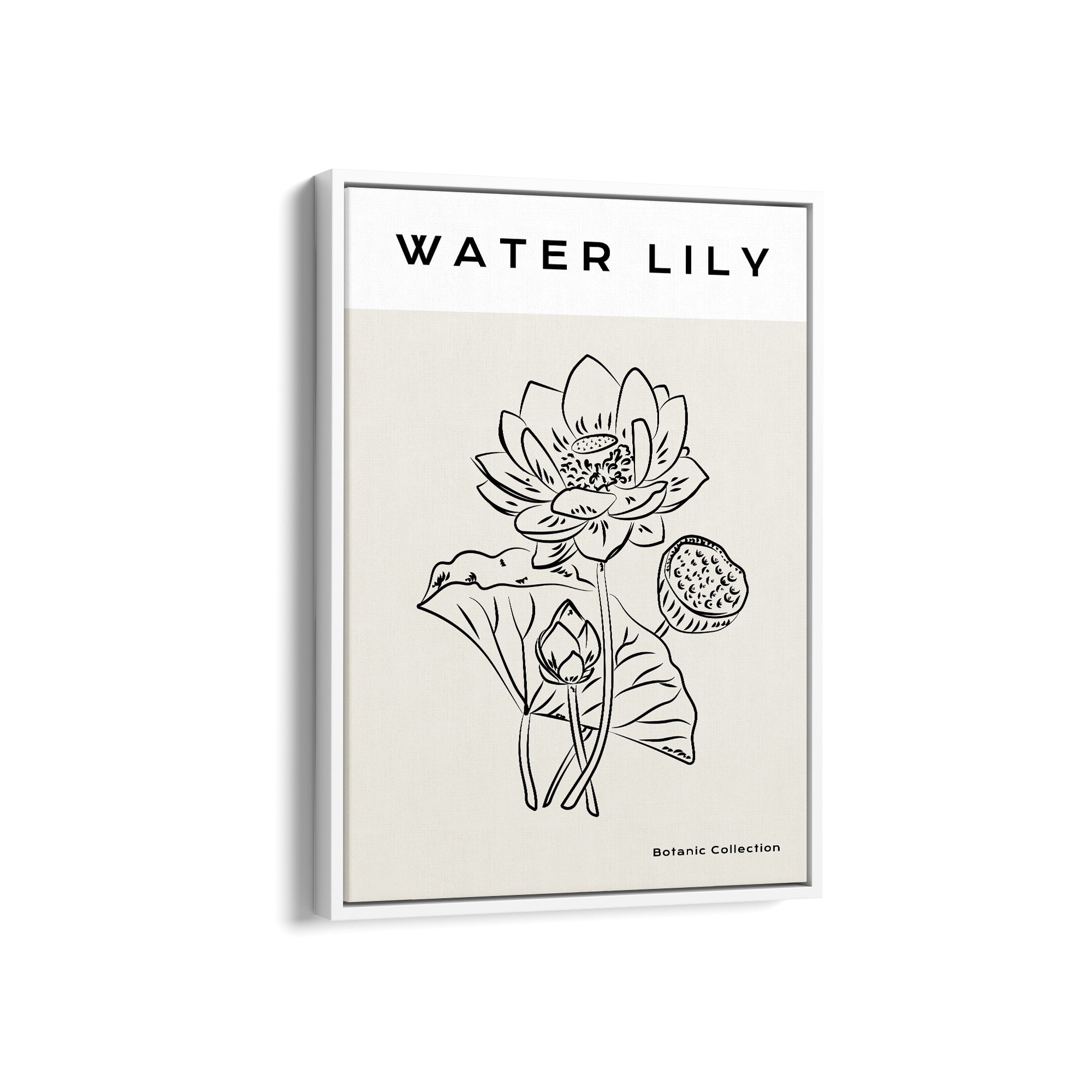 Water Lily Modern Line Wall Art
