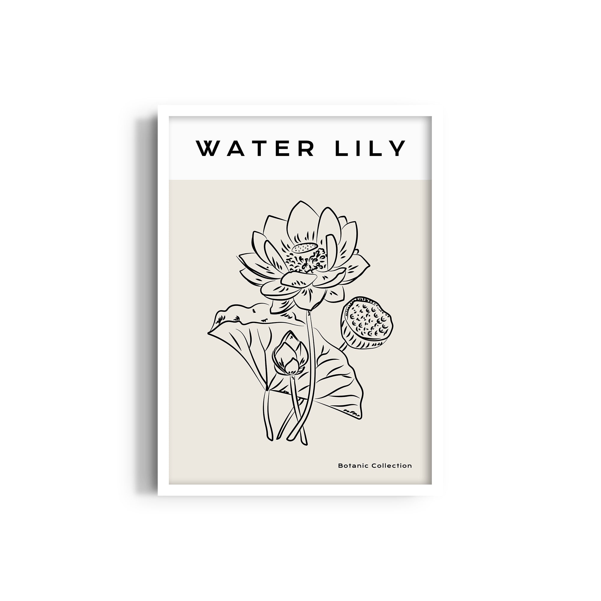 Water Lily Modern Line Wall Art