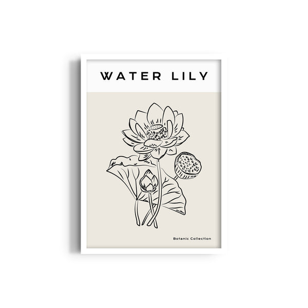 Water Lily Modern Line Wall Art