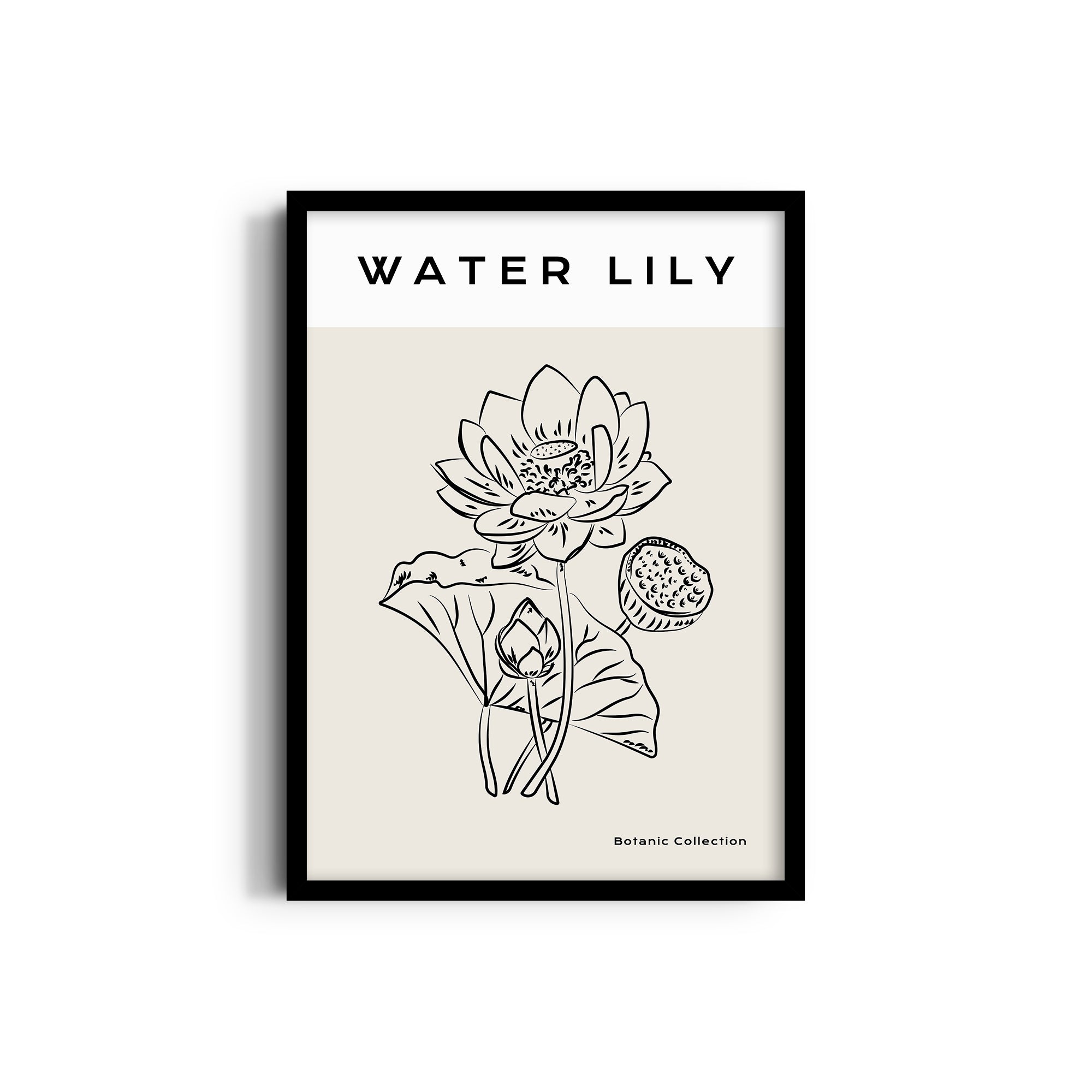 Water Lily Modern Line Wall Art