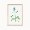 Dragon Tea Botanical Wall Art