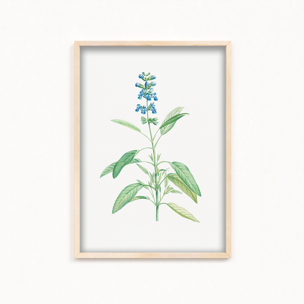 Dragon Tea Botanical Wall Art