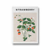 Strawberry Botanical Modern Wall Art