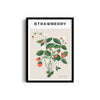 Strawberry Botanical Modern Wall Art