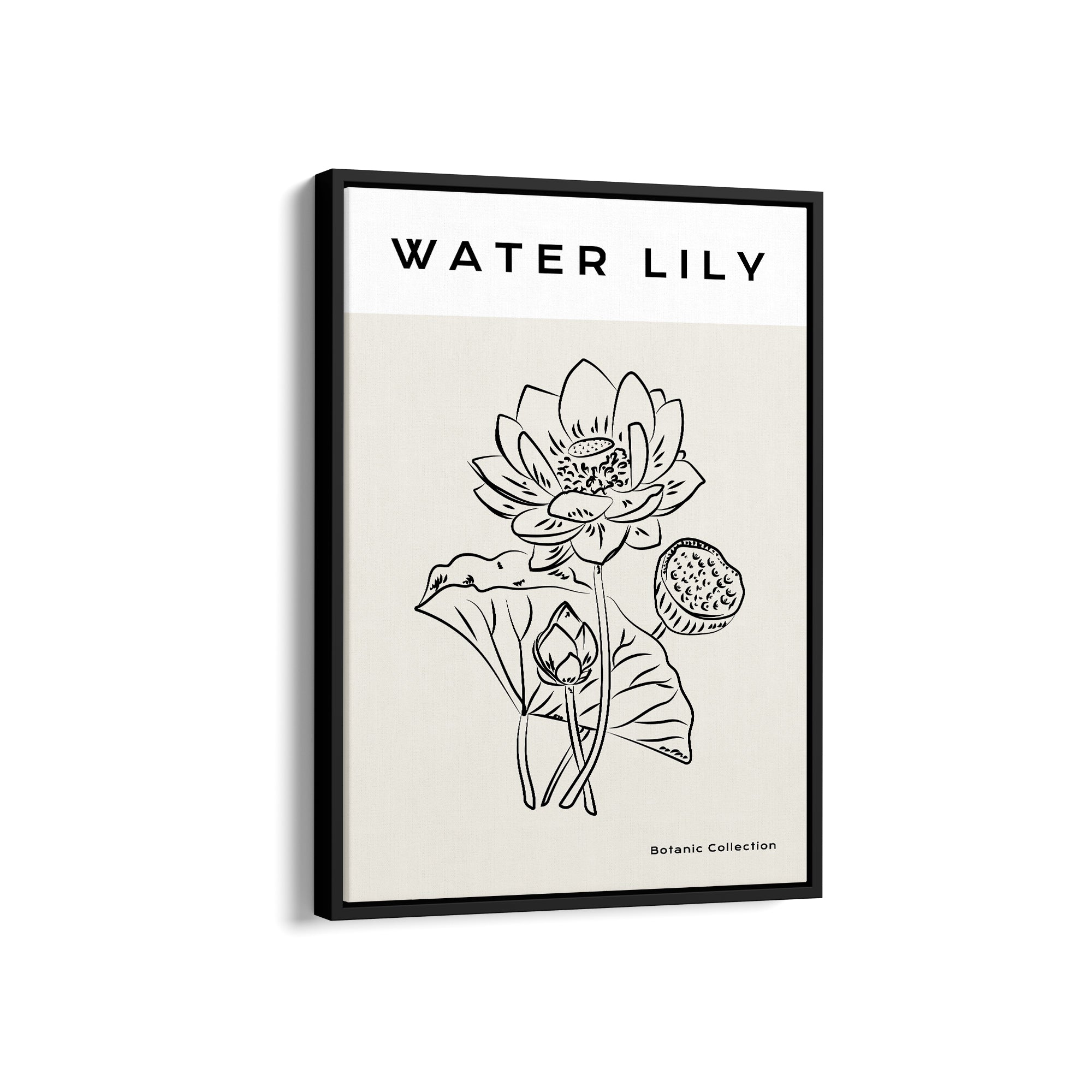 Water Lily Modern Line Wall Art