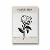 Farmers Market Boho Modern Wall Art