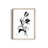 Bohemian Odyssey Boho Modern Wall Art