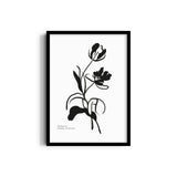 Bohemian Odyssey Boho Modern Wall Art