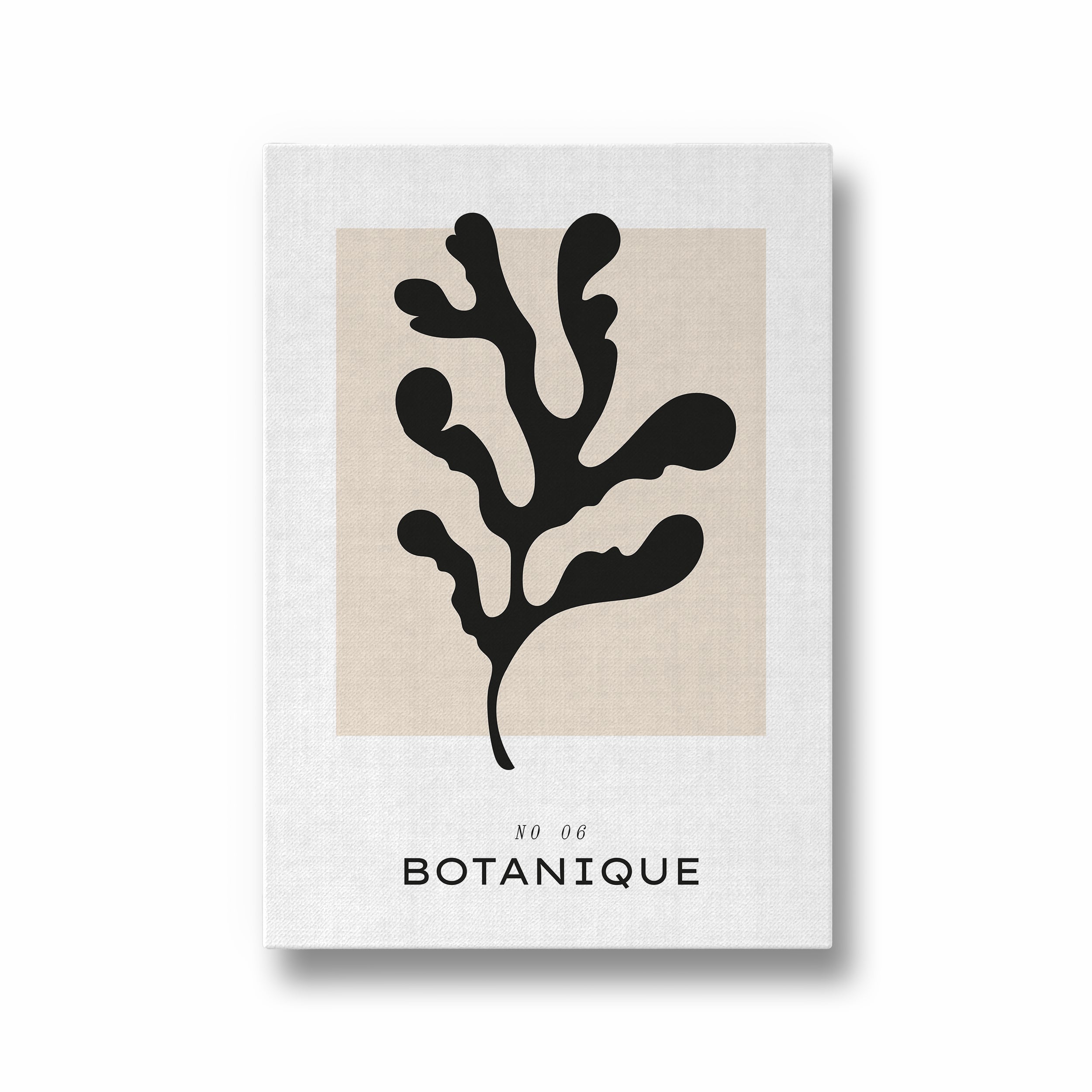 Botanique Boho Modern Wall Art