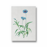 Nordic Lilac Botanical Wall Art - The Mortal Soul