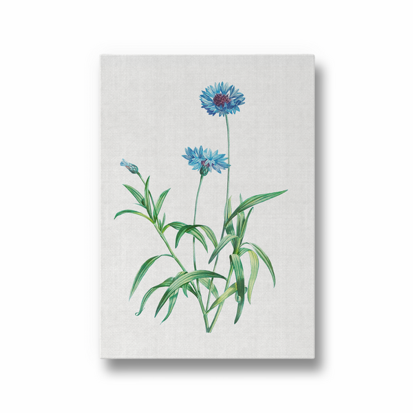 Nordic Lilac Botanical Wall Art - The Mortal Soul