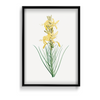 Mock Rosemary Botanical Wall Art