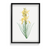 Mock Rosemary Botanical Wall Art