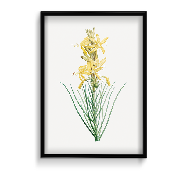 Mock Rosemary Botanical Wall Art