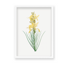 Mock Rosemary Botanical Wall Art