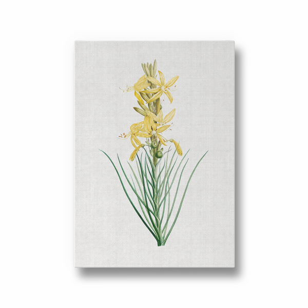 Mock Rosemary Botanical Wall Art - The Mortal Soul