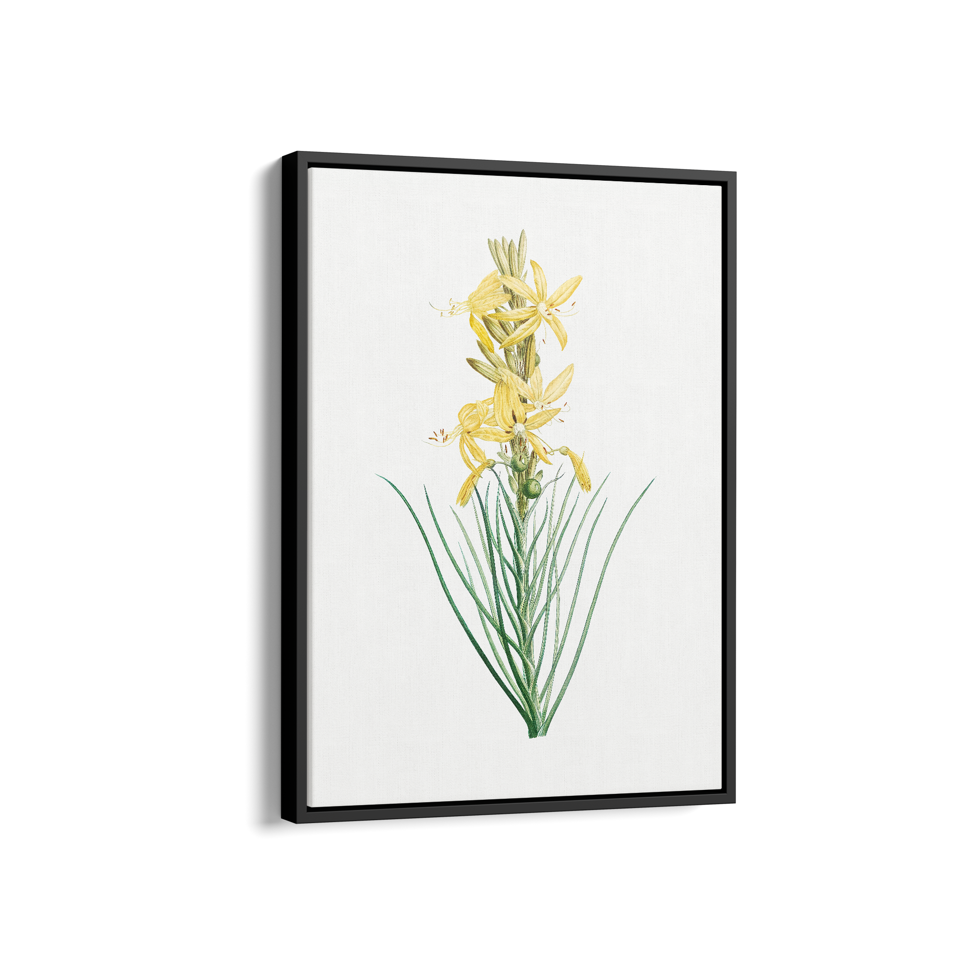 Mock Rosemary Botanical Wall Art - The Mortal Soul