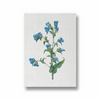 Twisted Thimbleberry Botanical Wall Art - The Mortal Soul