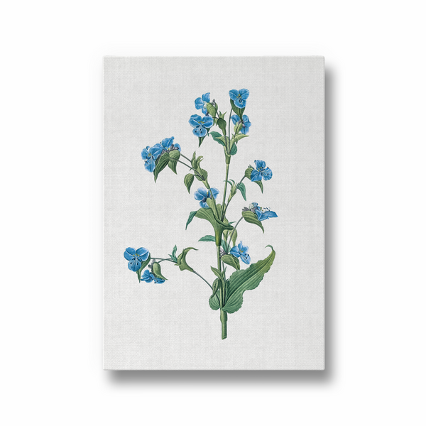Twisted Thimbleberry Botanical Wall Art - The Mortal Soul
