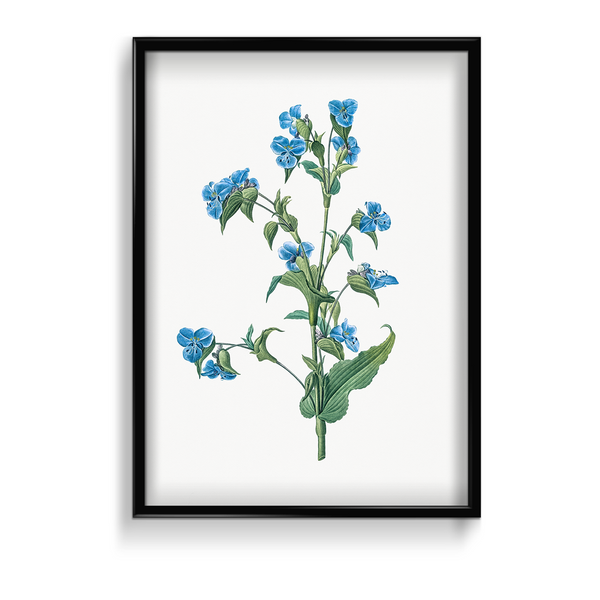 Twisted Thimbleberry Botanical Wall Art