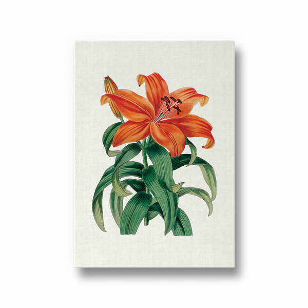 Whisper Bittercress Botanical Wall Art