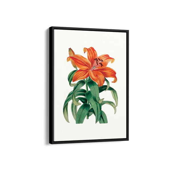 Whisper Bittercress Botanical Wall Art