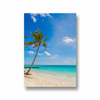 Coconut trees on the beach Wall Art