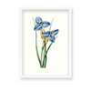 Yodririn Botanical Wall Art
