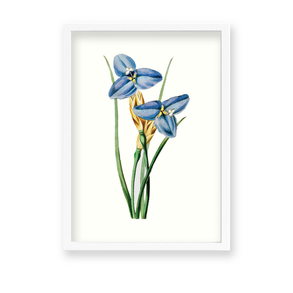 Yodririn Botanical Wall Art