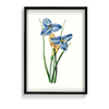 Yodririn Botanical Wall Art