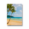 Coconut trees on the beach Wall Art