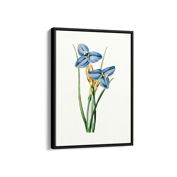 Yodririn Botanical Wall Art