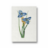 Yodririn Botanical Wall Art