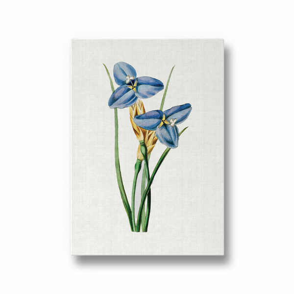 Yodririn Botanical Wall Art