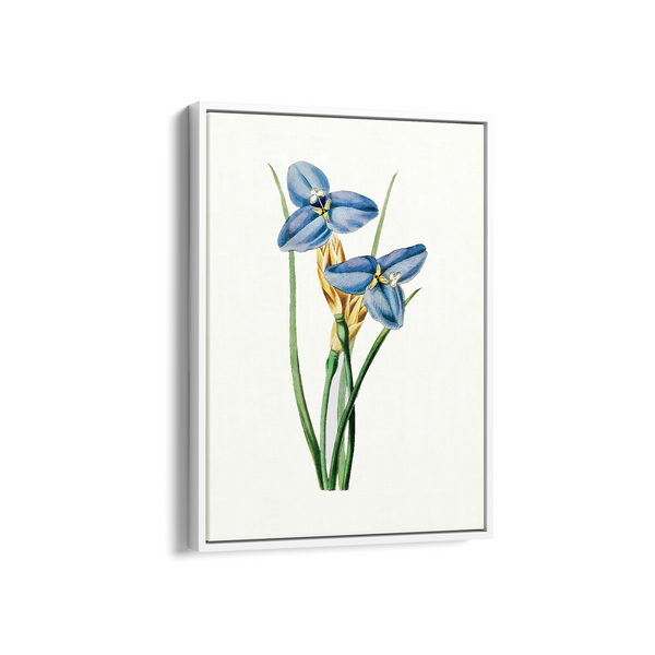 Yodririn Botanical Wall Art