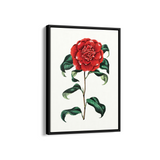 Cramire Botanical Wall Art
