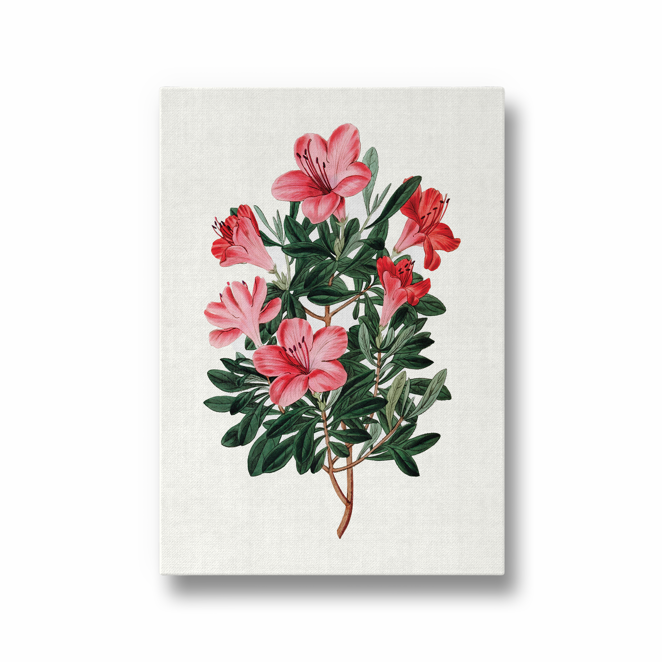 Majestic Felonwood Botanical Wall Art