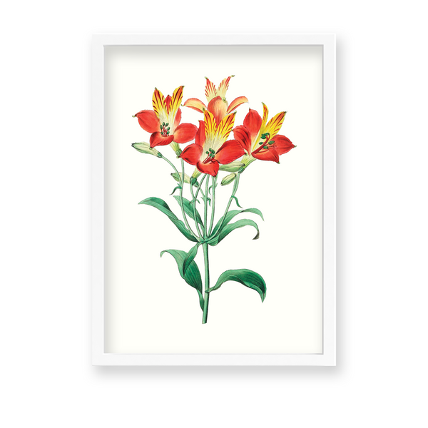 Ekleshrower Botanical Wall Art