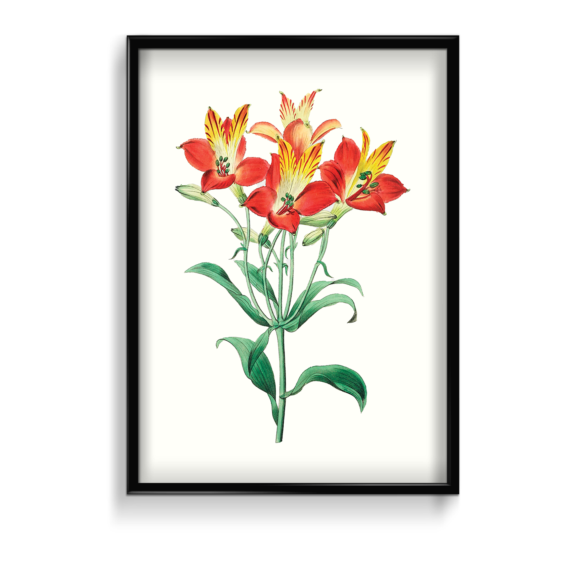 Ekleshrower Botanical Wall Art