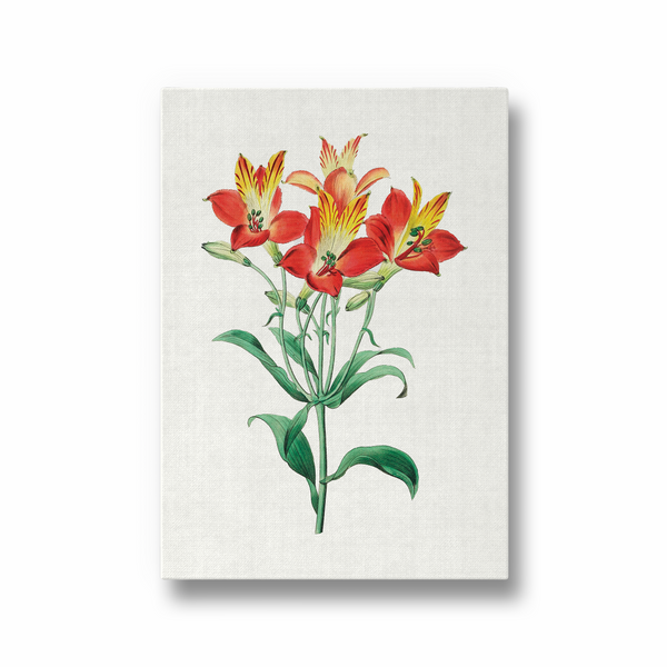 Ekleshrower Botanical Wall Art