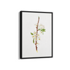 Mountain Ragweed Botanical Wall Art - The Mortal Soul