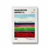 Manchester United F.C. Stadium Premium Wall Art - The Mortal Soul