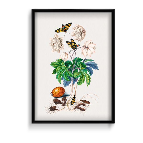 Chard Botanical Wall Art