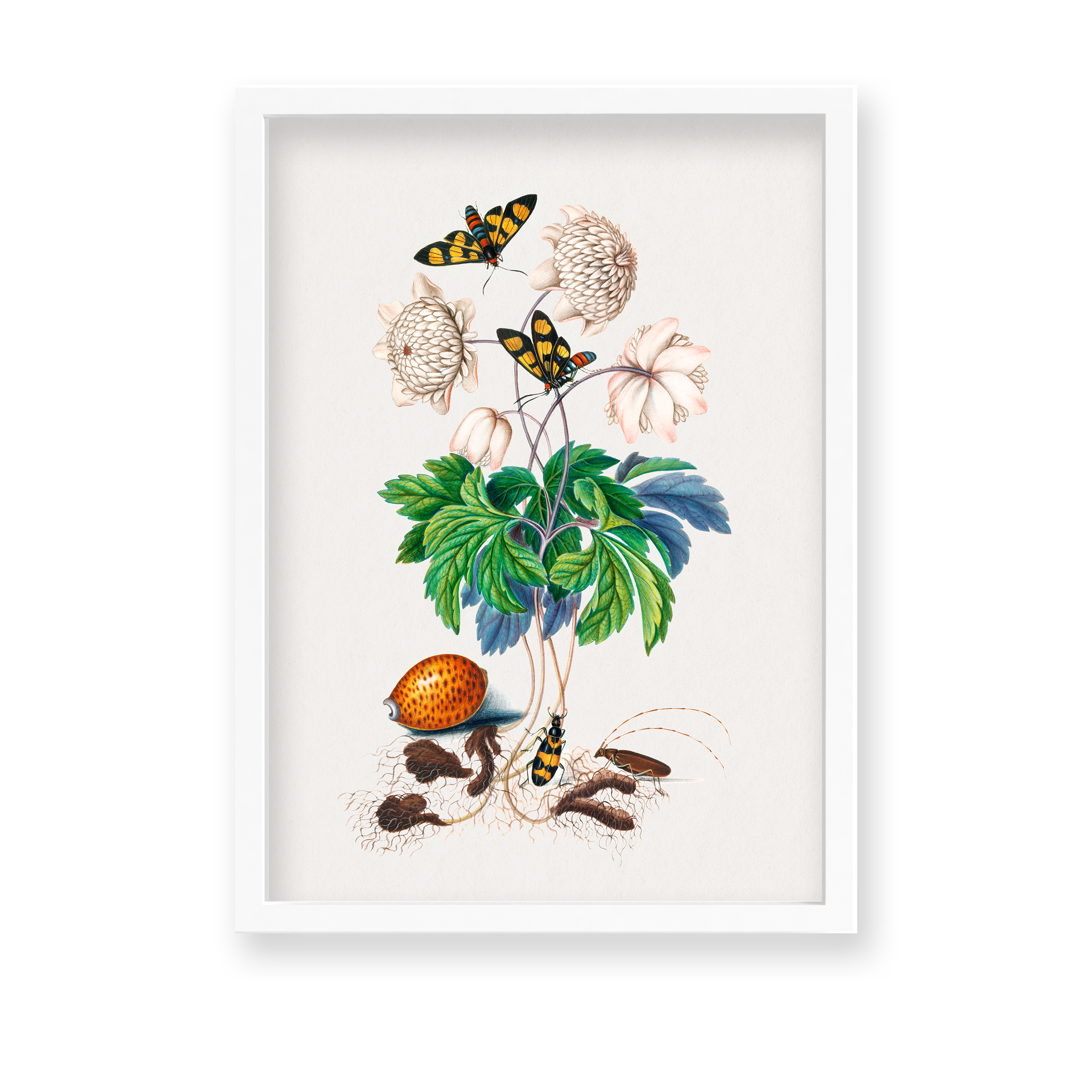 Chard Botanical Wall Art