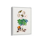 Chard Botanical Wall Art - The Mortal Soul