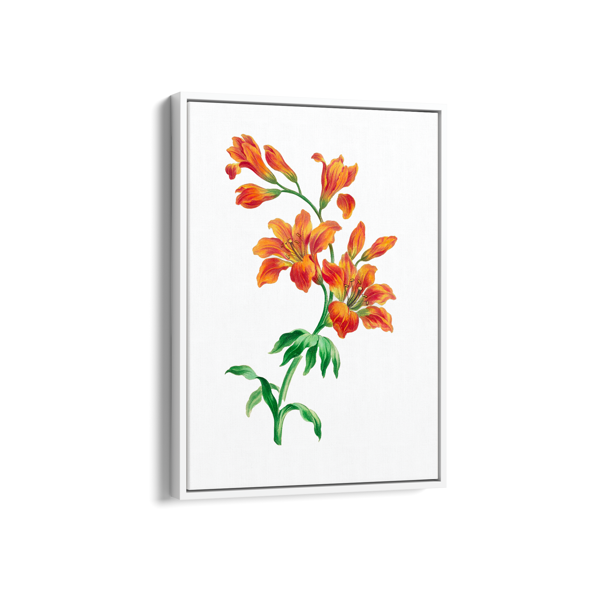 Silent Berry Botanical Wall Art - The Mortal Soul