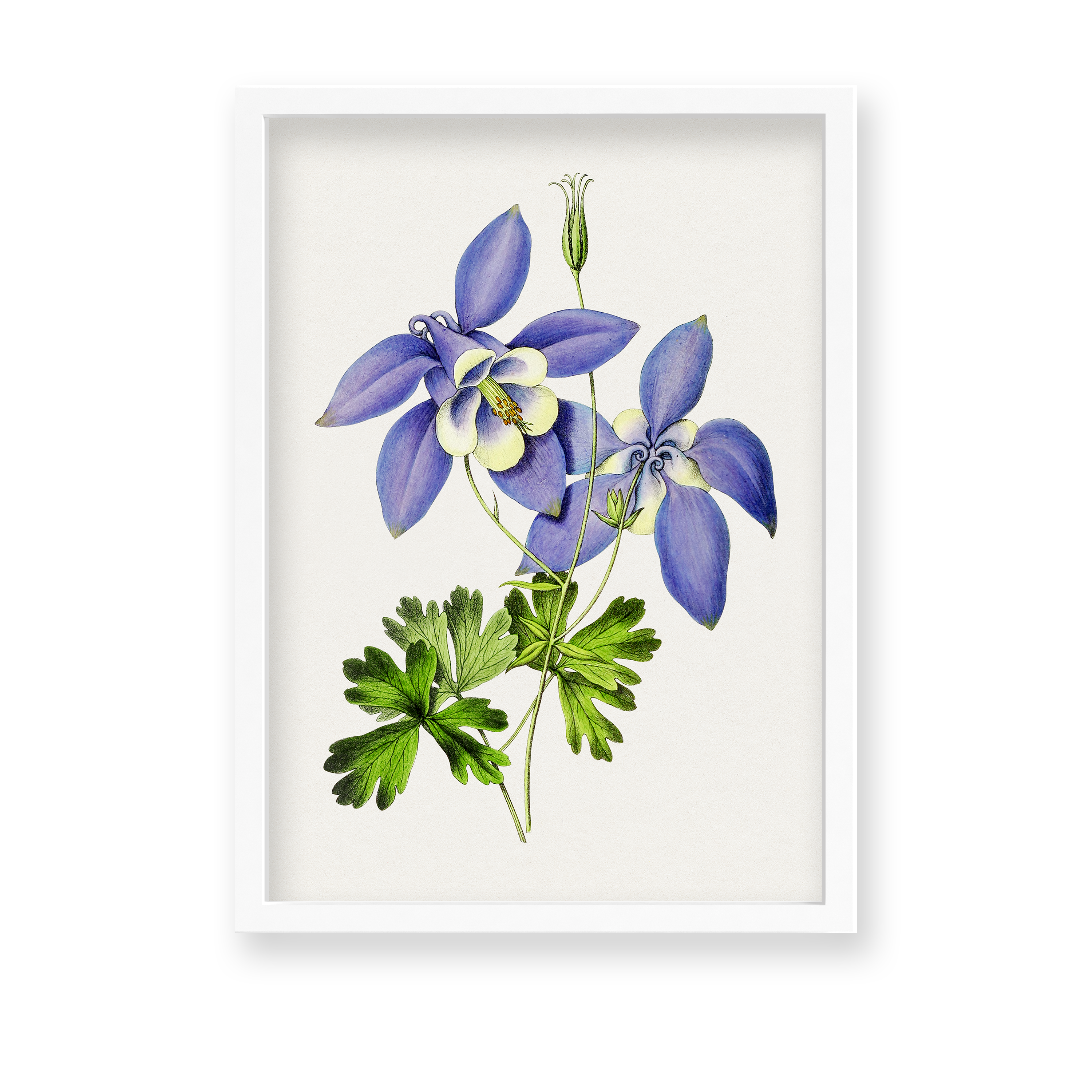 Owosie Botanical Wall Art