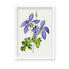 Owosie Botanical Wall Art