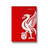 Liverpool F.C. Premium Wall Art - The Mortal Soul