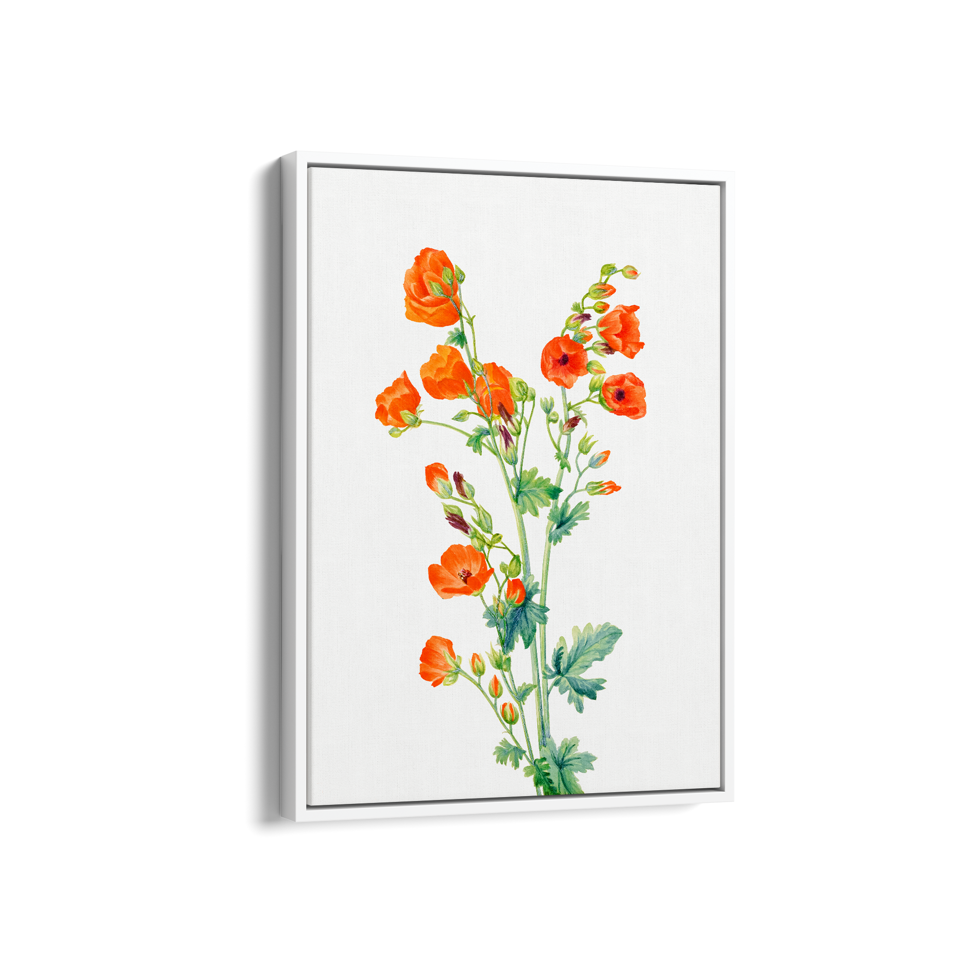 Opradac Botanical Wall Art - The Mortal Soul